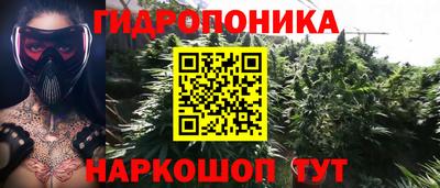 спиды Заволжье