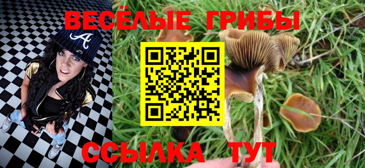 Псилоцибиновые грибы Psilocybine cubensis  Галлюциногенные грибы мицелий  Коркино  дарнет шоп  Вход с VPN 