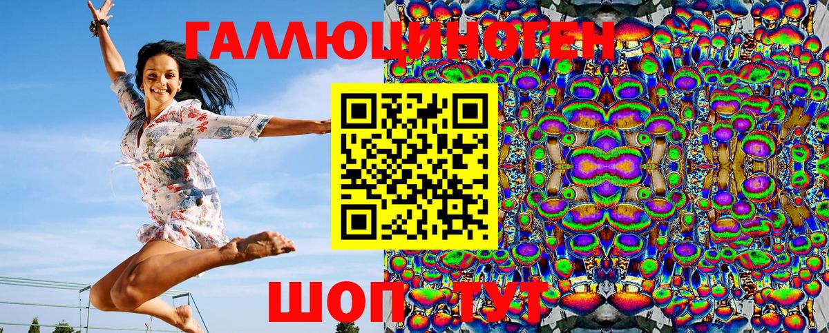 Галлюциногенные грибы Psilocybine cubensis Коркино